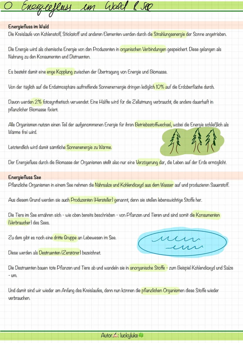 O
○ Energiefluss im Wold I see
Energiefluss im Wald
Die Kreisläufe von Kohlenstoff, Stickstoff und anderen Elementen werden durch die Strahl
