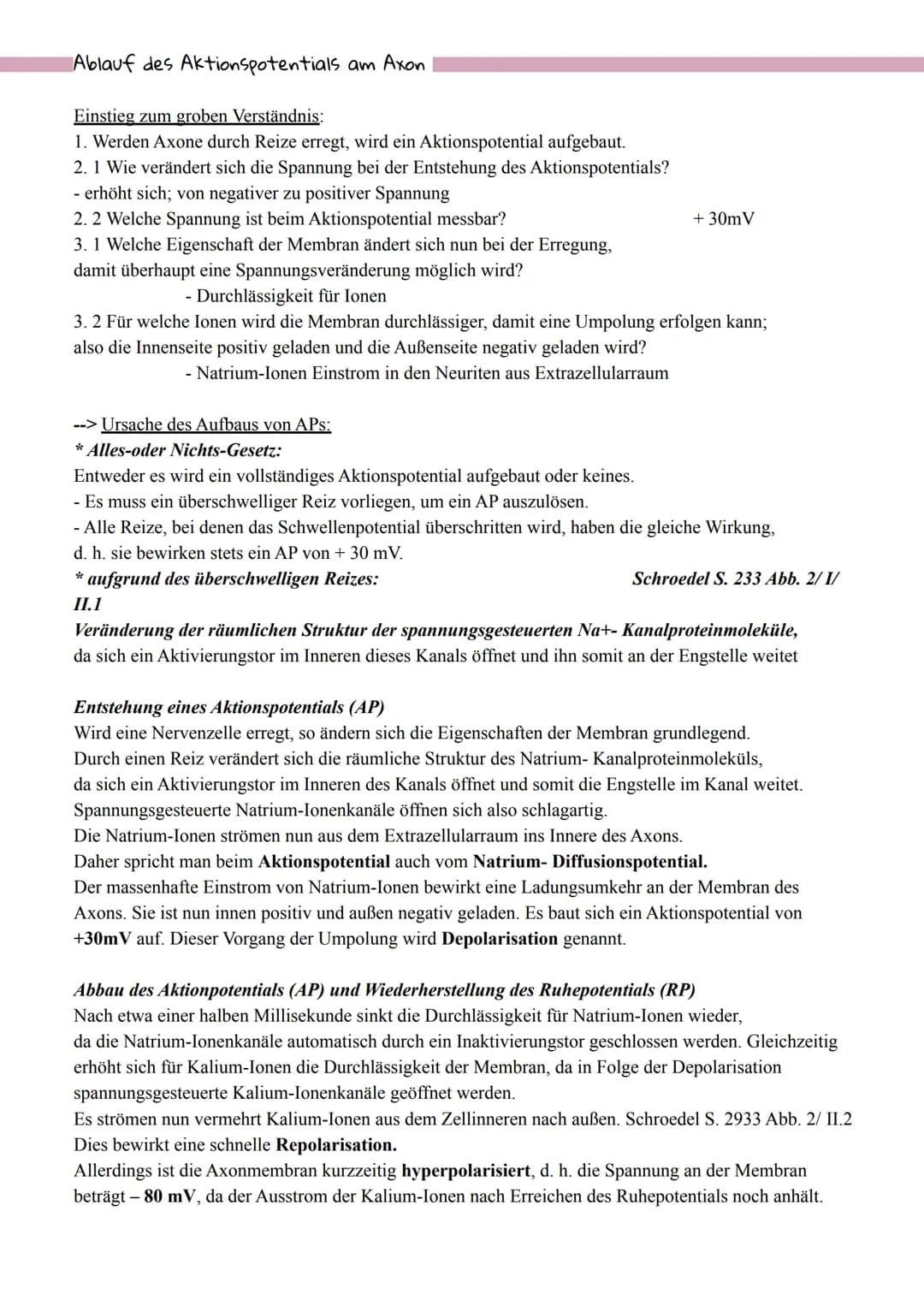 Bau und Funktion eines Neurons
andere
Nervenzelle
Nervenzellkörper
(Soma)
interneurale Synapse
Zellkern
●
Dendrit
Axonhügel
SCHWANN'sche
mar