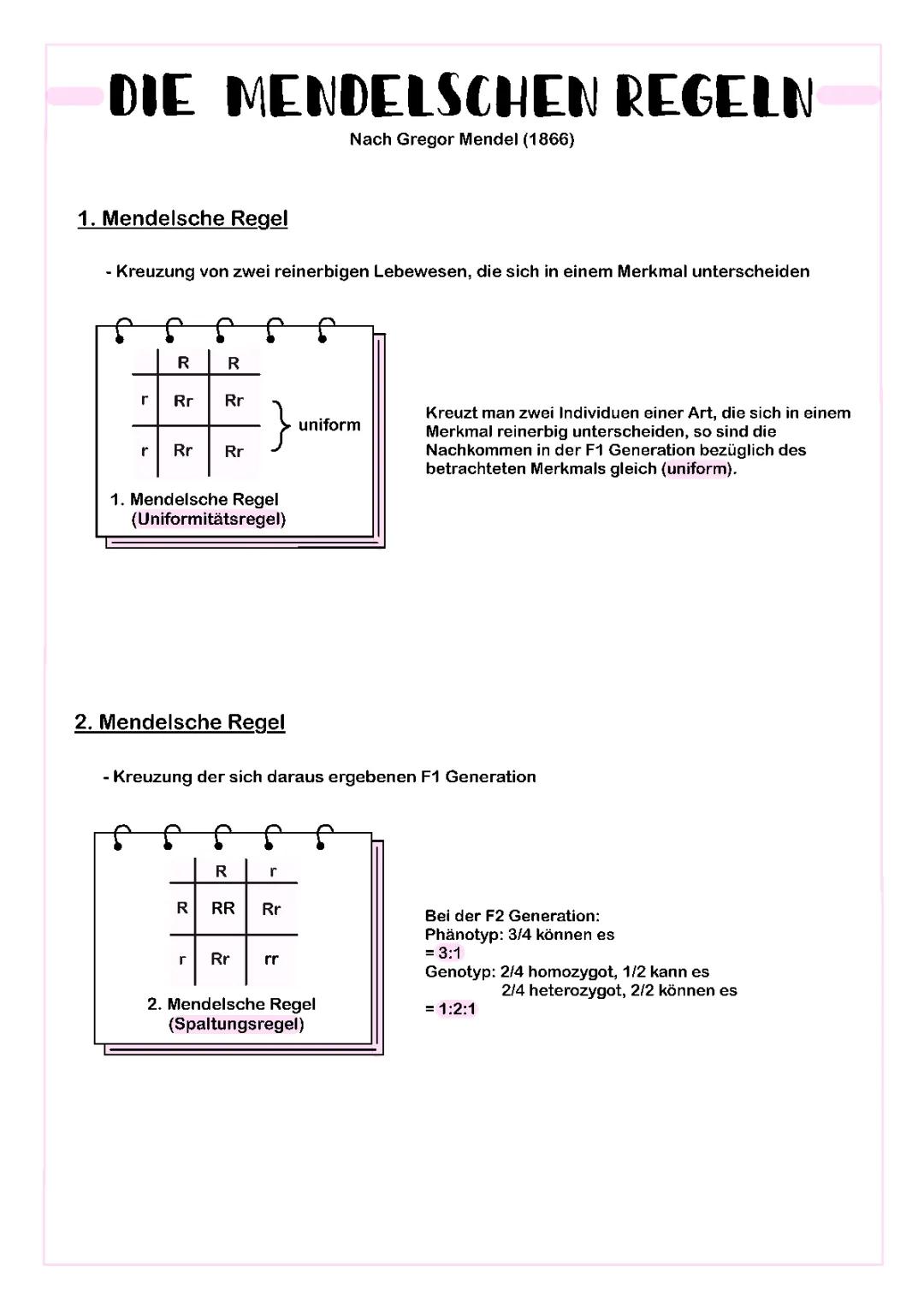 Die Mendelschen Regeln 