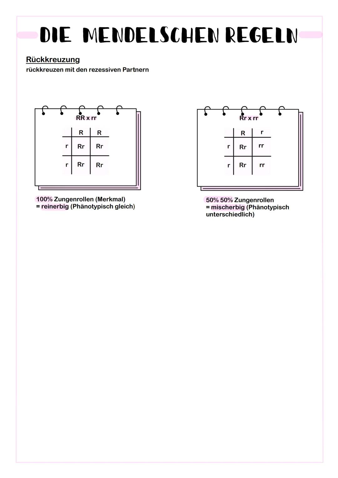 DIE MENDELSCHEN REGELN
Nach Gregor Mendel (1866)
1. Mendelsche Regel
- Kreuzung von zwei reinerbigen Lebewesen, die sich in einem Merkmal un