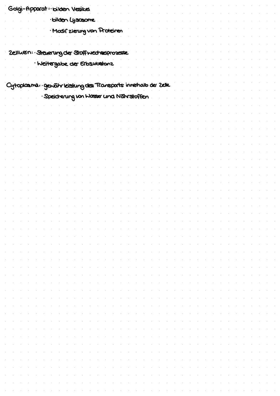 Zellmembran
Endoplas-
matisches
Reticulum
(ER)mit
Ribosomen
Mitochondrien
TIERISCHE ZELLE
Lysosomen
Ribosom. Translatation während der Biosy