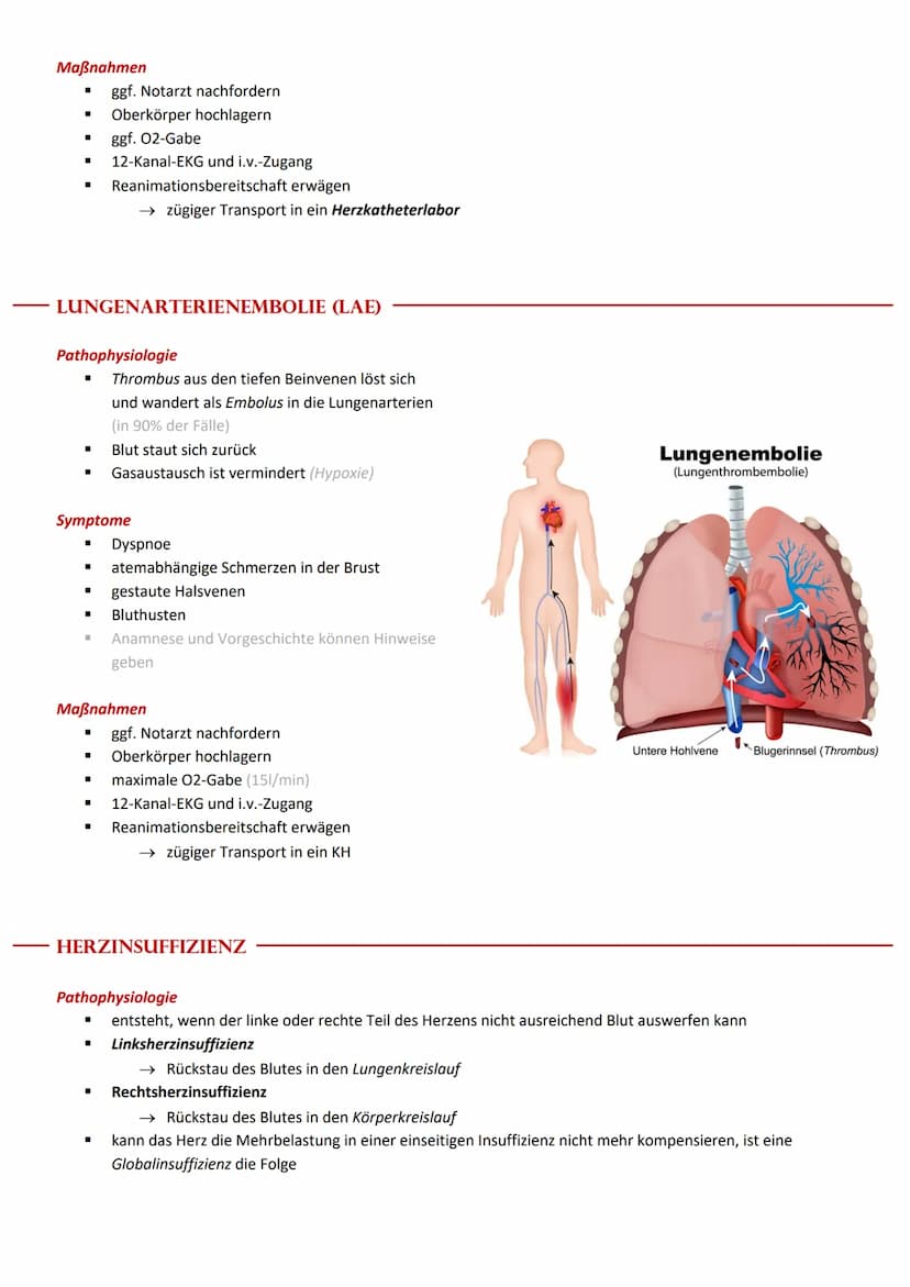 Wichtige Leitsymptome von Herz Kreislauf Störungen
■
Schmerzen & Engegefühl in der Brust (Angina pectoris)
■ Atemnot (Dyspnoe)
"
I
HERZ-KREI
