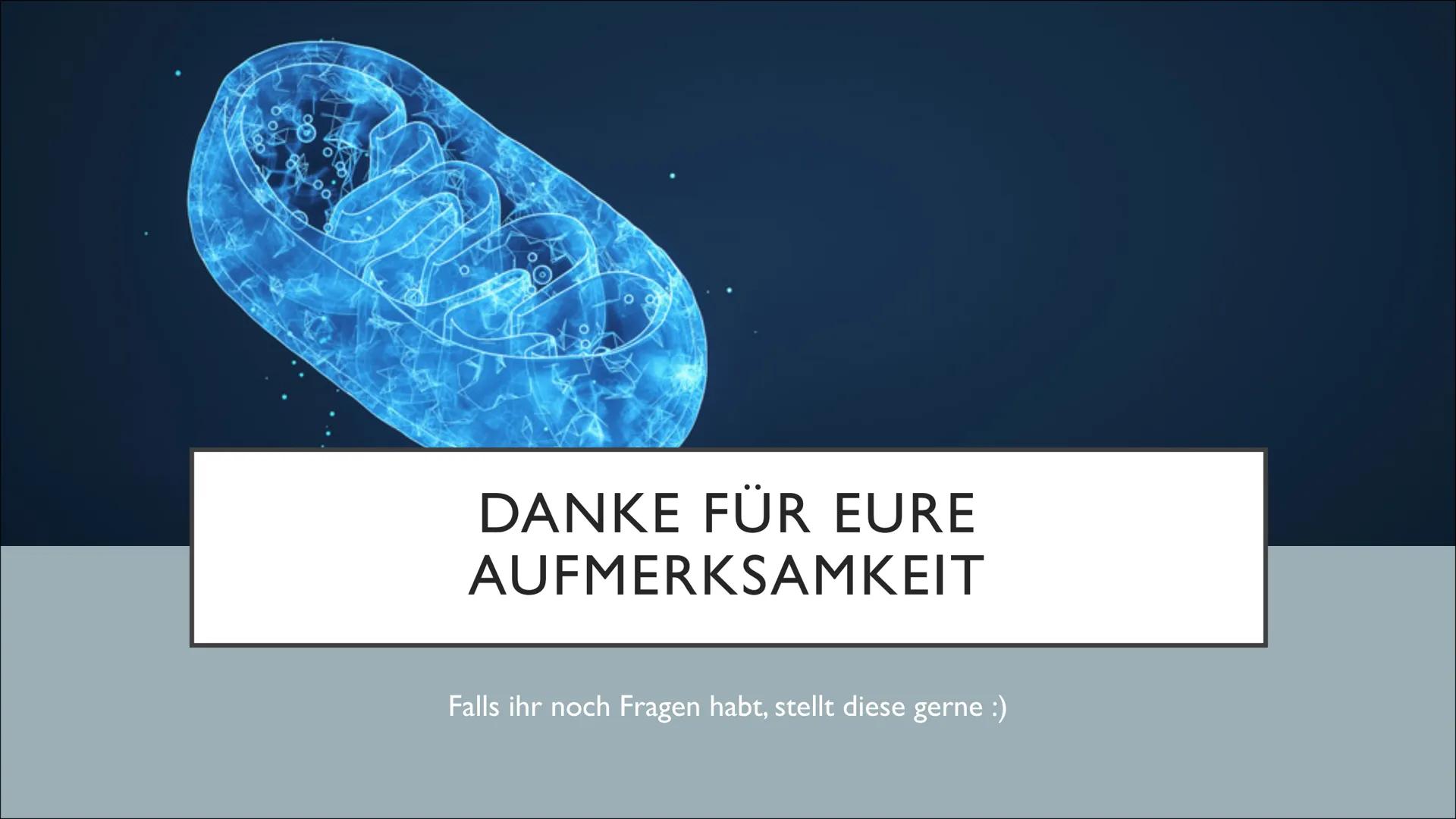 ganar
Gunna
2850
Len
MITOCHONDRIEN
SUNG
Tuulia INHALTSANGABE
• Was sind Mitochondrien überhaupt?
●
Aufbau eines Mitochondriums
Funktion und 