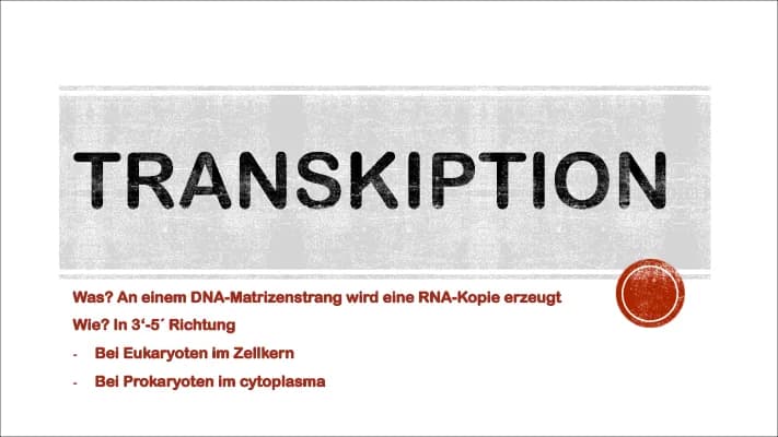 Know Transkiption, Prozessierung, Translation  thumbnail
