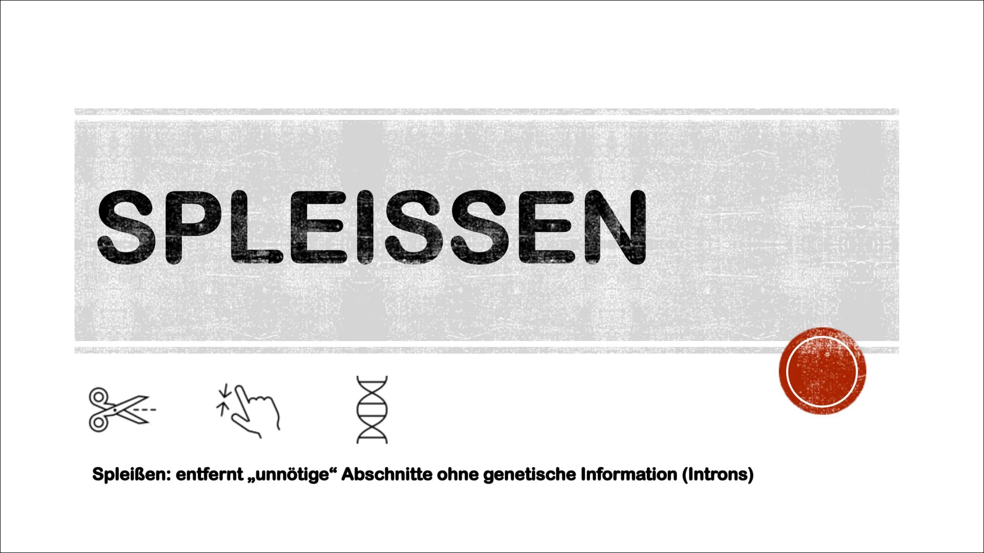 TRANSKIPTION
Was? An einem DNA-Matrizenstrang wird eine RNA-Kopie erzeugt
Wie? In 3'-5" Richtung
Bei Eukaryoten im Zellkern
Bei Prokaryoten 
