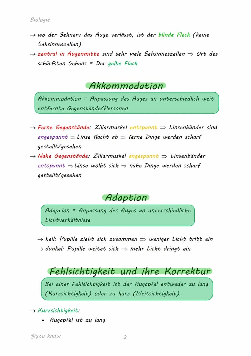 
<h2 id="dasmenschlicheaugeaufbauundfunktion">Das menschliche Auge: Aufbau und Funktion</h2>
<p>Das Auge ist ein komplexes Sinnesorgan, das 