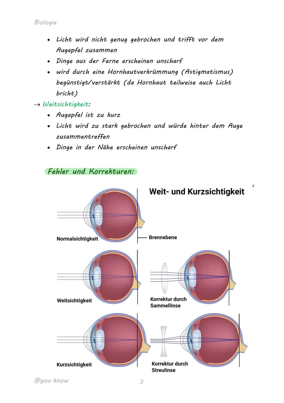 
<h2 id="dasmenschlicheaugeaufbauundfunktion">Das menschliche Auge: Aufbau und Funktion</h2>
<p>Das Auge ist ein komplexes Sinnesorgan, das 