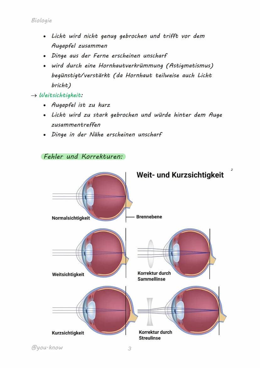 
<h2 id="dasmenschlicheaugeaufbauundfunktion">Das menschliche Auge: Aufbau und Funktion</h2>
<p>Das Auge ist ein komplexes Sinnesorgan, das 