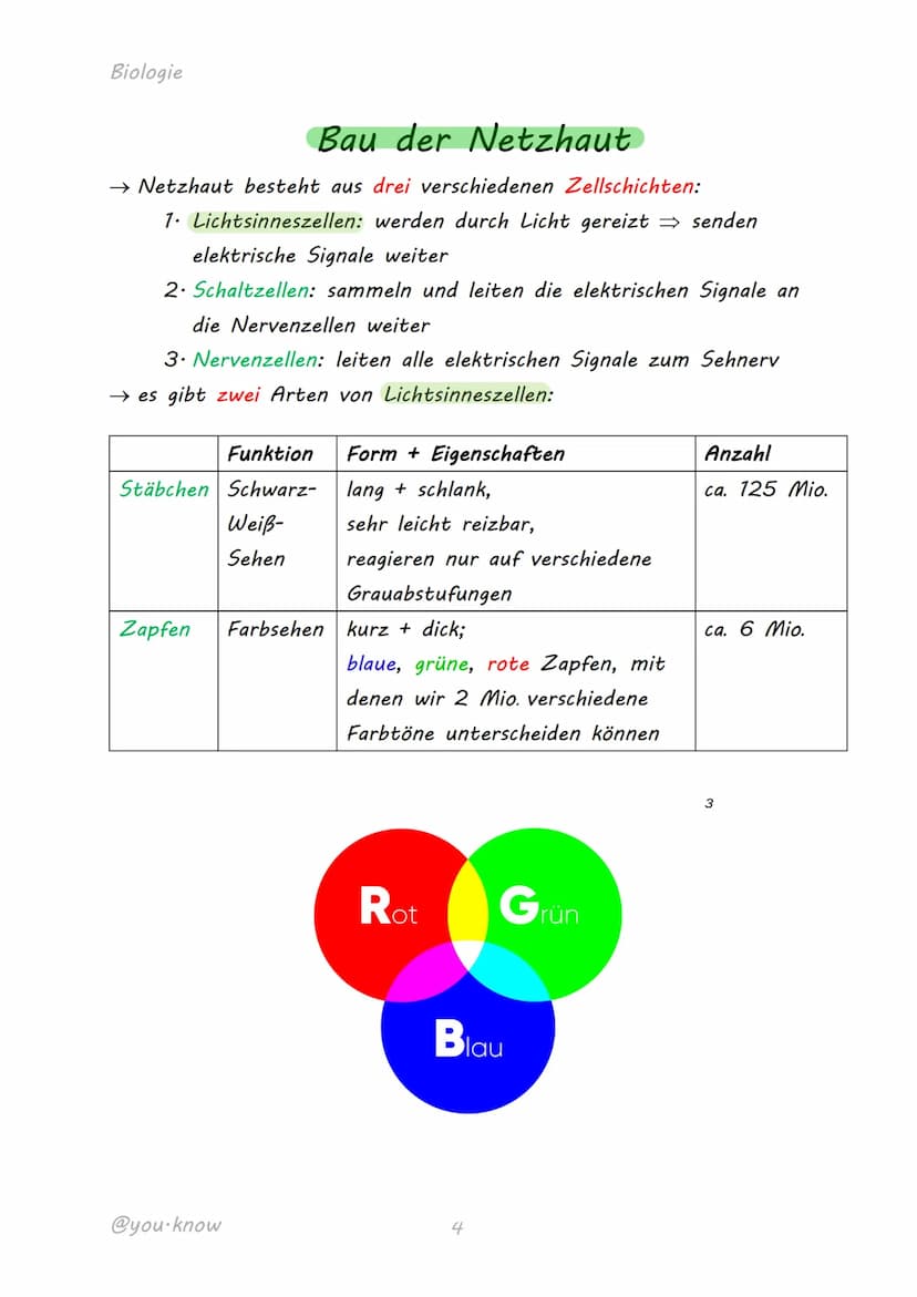 
<h2 id="dasmenschlicheaugeaufbauundfunktion">Das menschliche Auge: Aufbau und Funktion</h2>
<p>Das Auge ist ein komplexes Sinnesorgan, das 