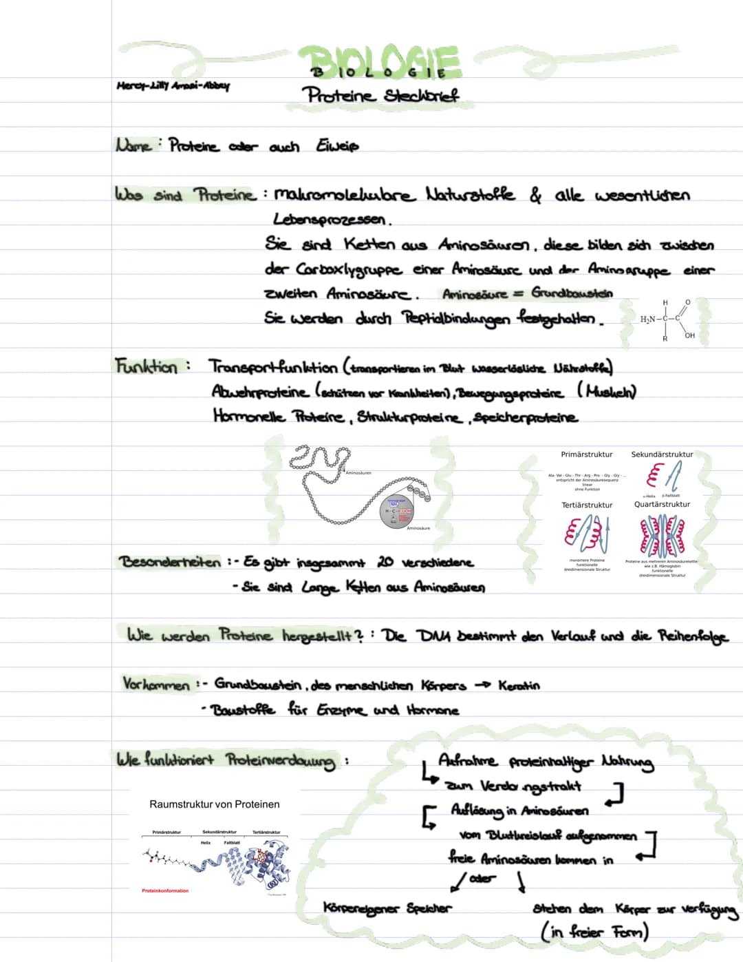 Mercy-Lilly Amasi-Abbey
Name Proteine oder auch Eiweiß
Was sind Proteine: Makromolekubre Naturstoffe & alle wesentlichen
Lebensprozessen.
Si