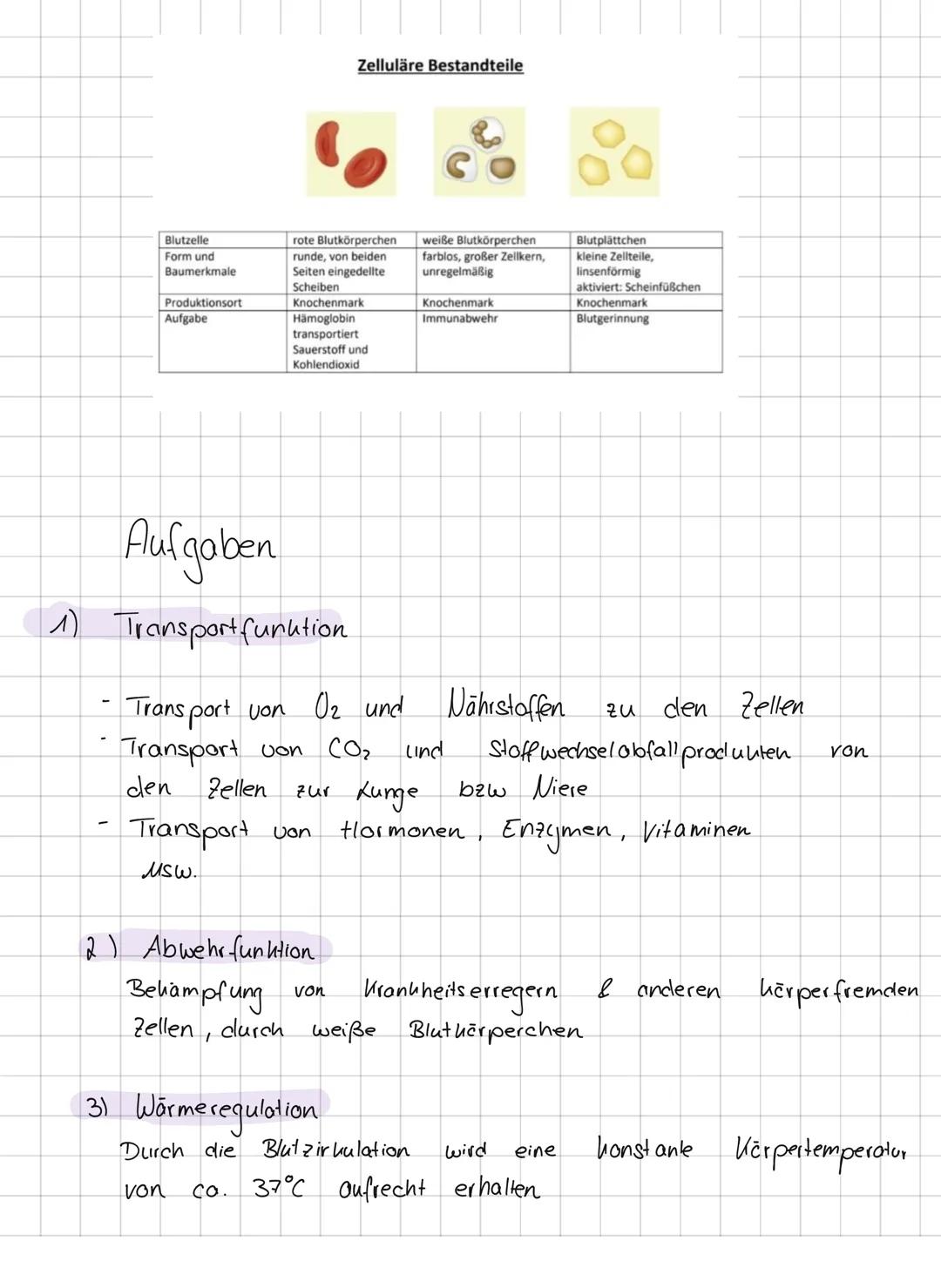 Plasma -55%
Serum
Wasser (90 %)
- Elektrolyte
Plasmaproteine (
(17%)
-transportierte Stoffe
Blutgerinnung
Thrombocyten
-0,5%
Durchmesser: 0-