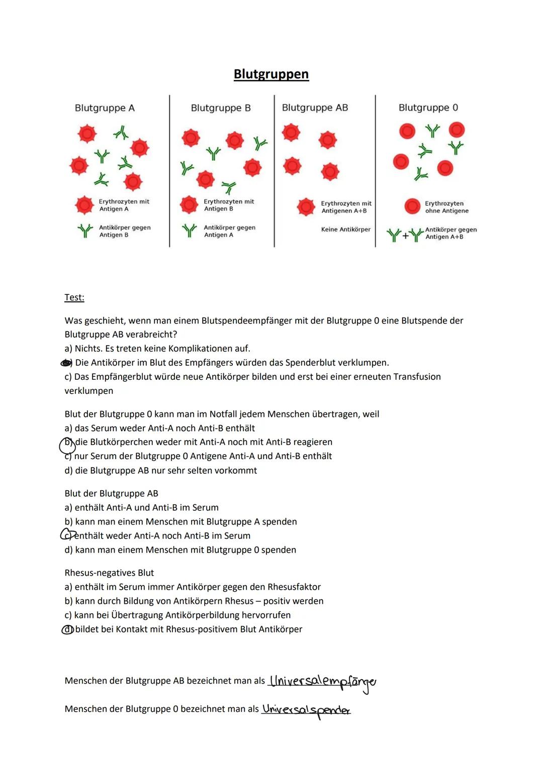 Plasma -55%
Serum
Wasser (90 %)
- Elektrolyte
Plasmaproteine (
(17%)
-transportierte Stoffe
Blutgerinnung
Thrombocyten
-0,5%
Durchmesser: 0-