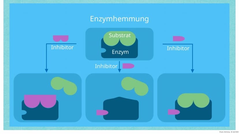 Hemmung der Enzymaktivität
Kurzvortrag von Anastasia Witowski Q1
Enzym Hemmung - 29. April 2023 Inhaltsverzeichnis:
> Funktionen Enzymhemmun