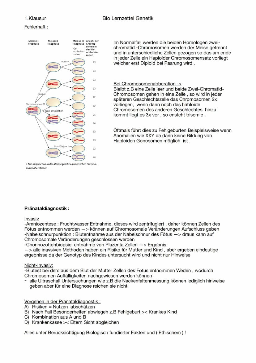 1.Klausur
-Fortpflanzung
Sexuelle Fortpflanzung
-zwei Geschlechter notwendig
Paarung, Bestäubung etc.
-Chromosomen
Aufbau:
Chromosomen + Cen