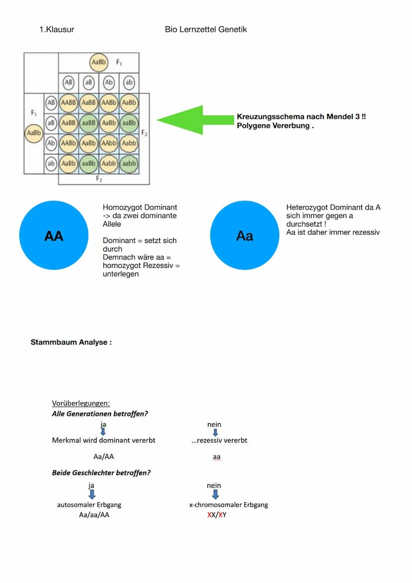 1.Klausur
-Fortpflanzung
Sexuelle Fortpflanzung
-zwei Geschlechter notwendig
Paarung, Bestäubung etc.
-Chromosomen
Aufbau:
Chromosomen + Cen