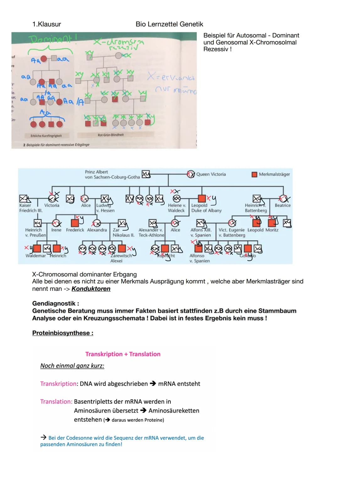 1.Klausur
-Fortpflanzung
Sexuelle Fortpflanzung
-zwei Geschlechter notwendig
Paarung, Bestäubung etc.
-Chromosomen
Aufbau:
Chromosomen + Cen