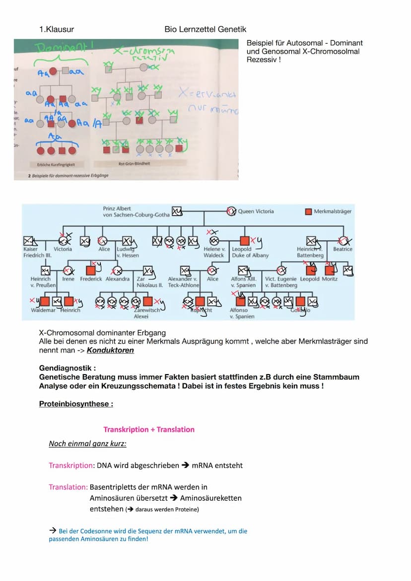 1.Klausur
-Fortpflanzung
Sexuelle Fortpflanzung
-zwei Geschlechter notwendig
Paarung, Bestäubung etc.
-Chromosomen
Aufbau:
Chromosomen + Cen