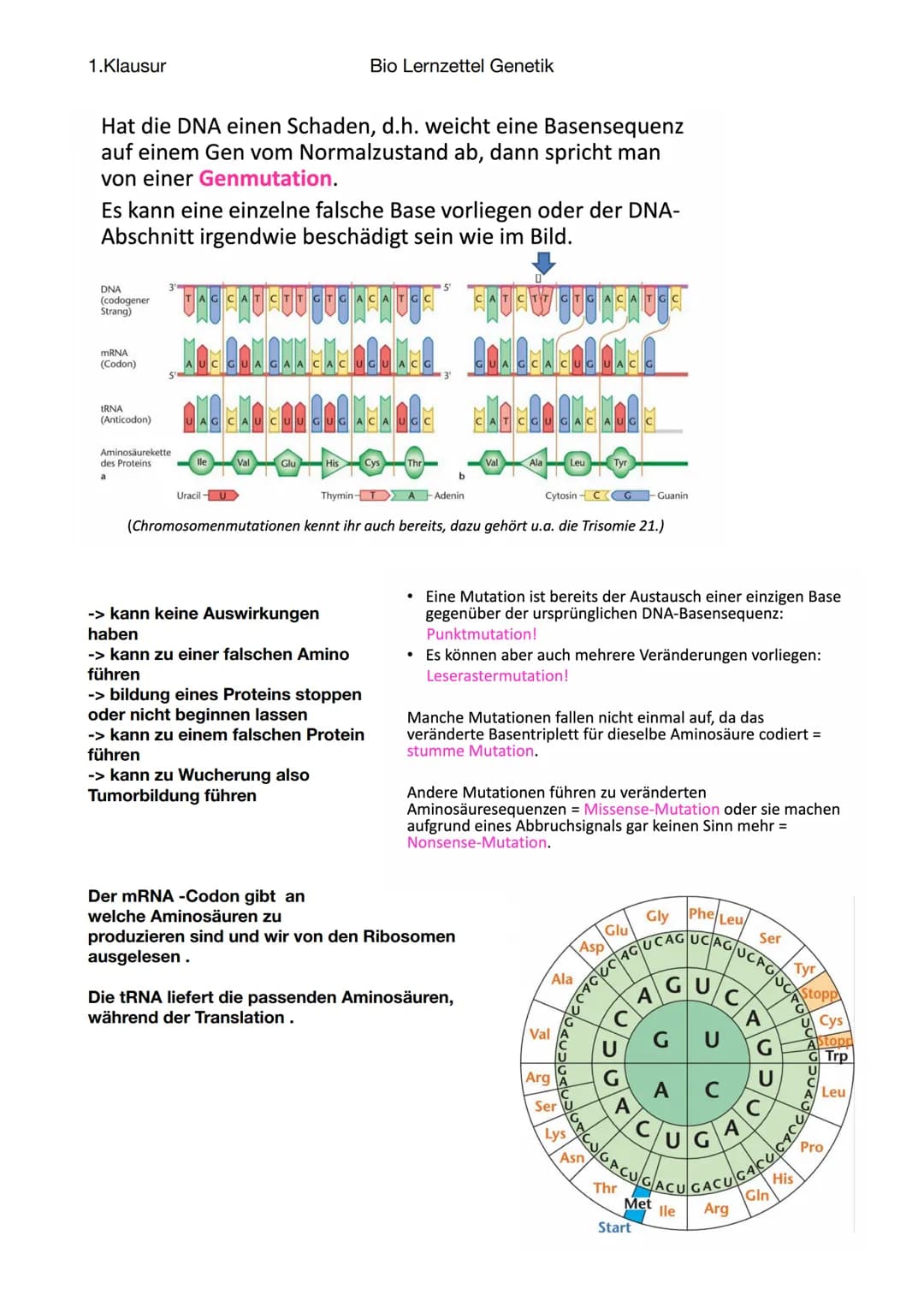 1.Klausur
-Fortpflanzung
Sexuelle Fortpflanzung
-zwei Geschlechter notwendig
Paarung, Bestäubung etc.
-Chromosomen
Aufbau:
Chromosomen + Cen