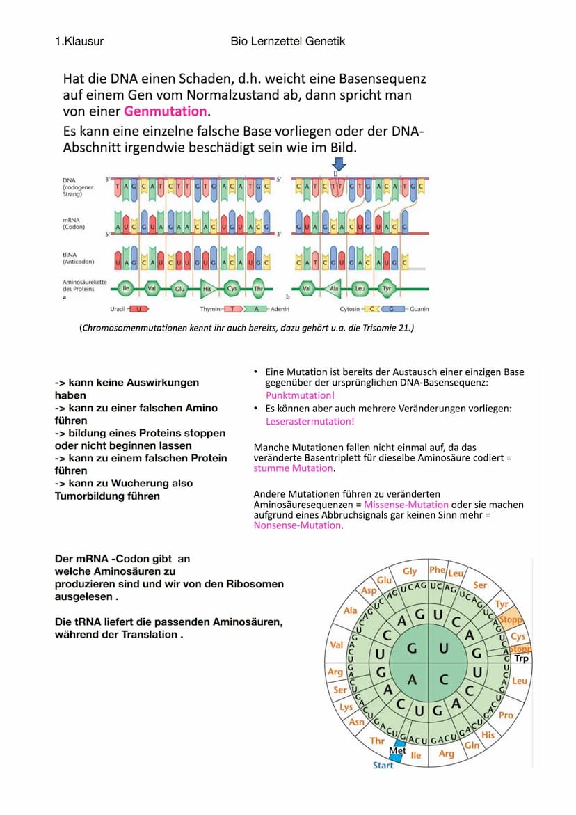 1.Klausur
-Fortpflanzung
Sexuelle Fortpflanzung
-zwei Geschlechter notwendig
Paarung, Bestäubung etc.
-Chromosomen
Aufbau:
Chromosomen + Cen
