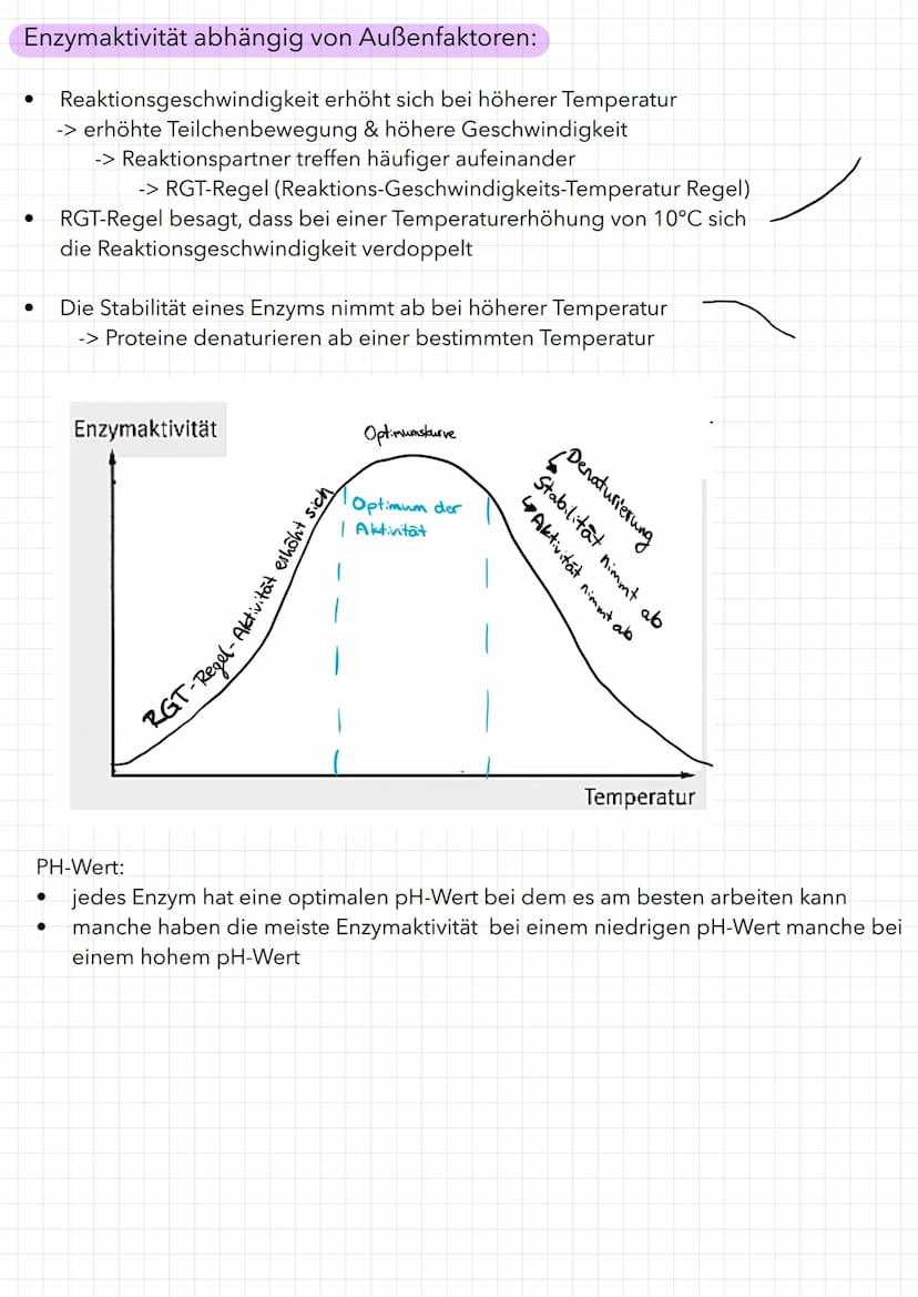 Bau eines Enzyms
Substrat
WED
Enzym
Aktivierungsenergie:
aktives Zentrum
Reaktionsenergie
Ausgangs-
stoffe
Maltose
Enzym-Substrat-Komplex
Bi