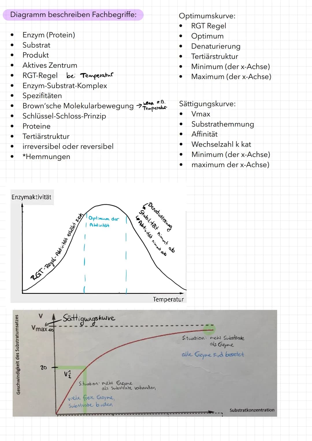 Bau eines Enzyms
Substrat
WED
Enzym
Aktivierungsenergie:
aktives Zentrum
Reaktionsenergie
Ausgangs-
stoffe
Maltose
Enzym-Substrat-Komplex
Bi
