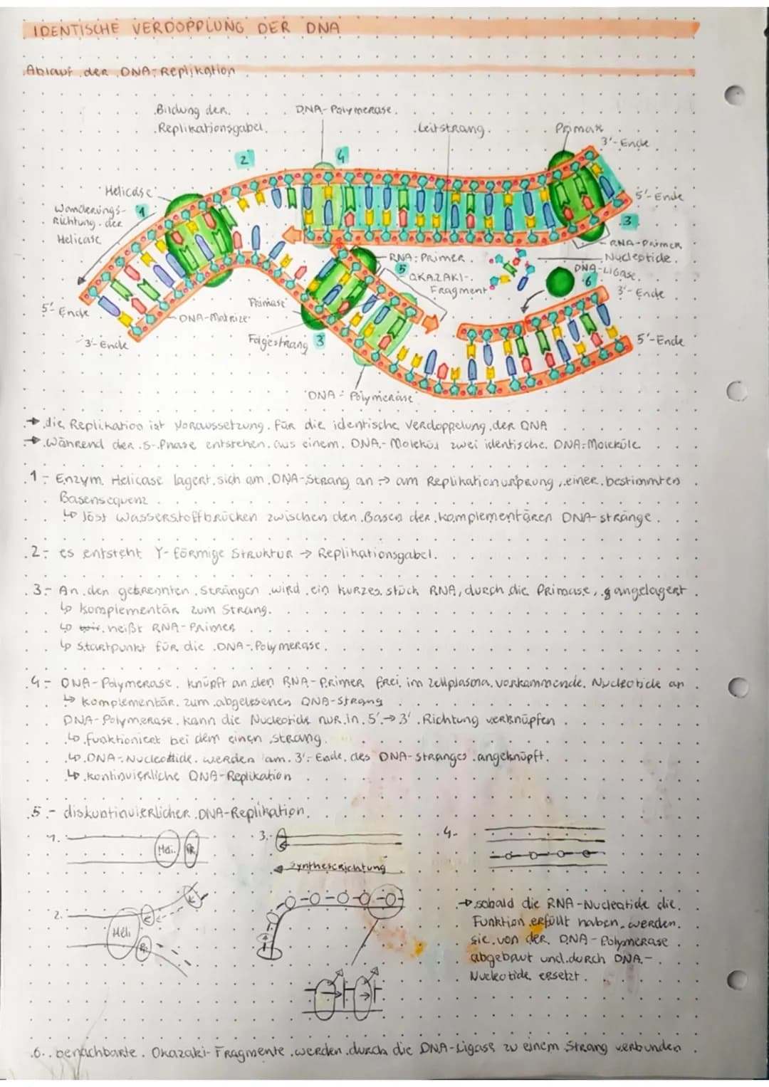 C
C
с
biologie
KLAUSUR.
GRUNDLAGE: MAKROMOLEKÜLE
Bau der DNA
H₂C 0.....
N-H
DNA ist ein Kettenmolekül
so bestent, aus vielen hintereinander 