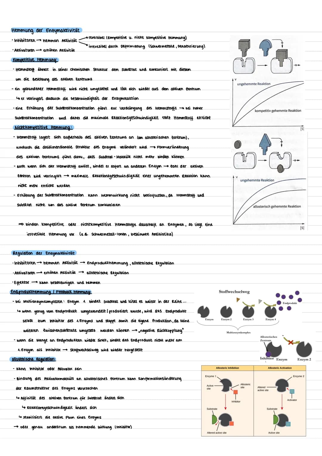 ENZYMATIK
was sind Enzyme ?
- Proteine (Ausnahme: Rybozyme aus RNA)
- (Bio-) Katalysatoren
ما
Proteine sind meist die Biomoleküle, die
in de