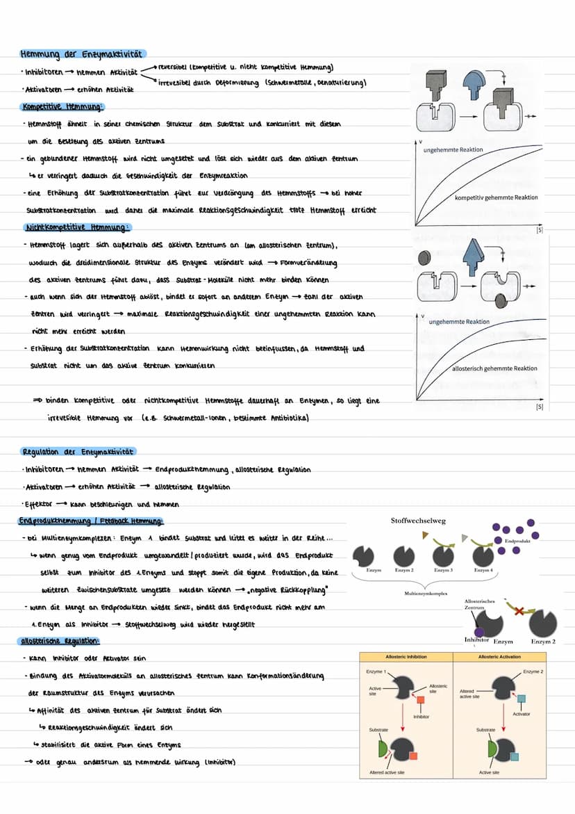 ENZYMATIK
was sind Enzyme ?
- Proteine (Ausnahme: Rybozyme aus RNA)
- (Bio-) Katalysatoren
ما
Proteine sind meist die Biomoleküle, die
in de