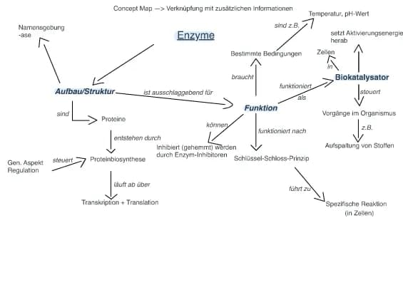 Know Concept Map zu Enzymen thumbnail