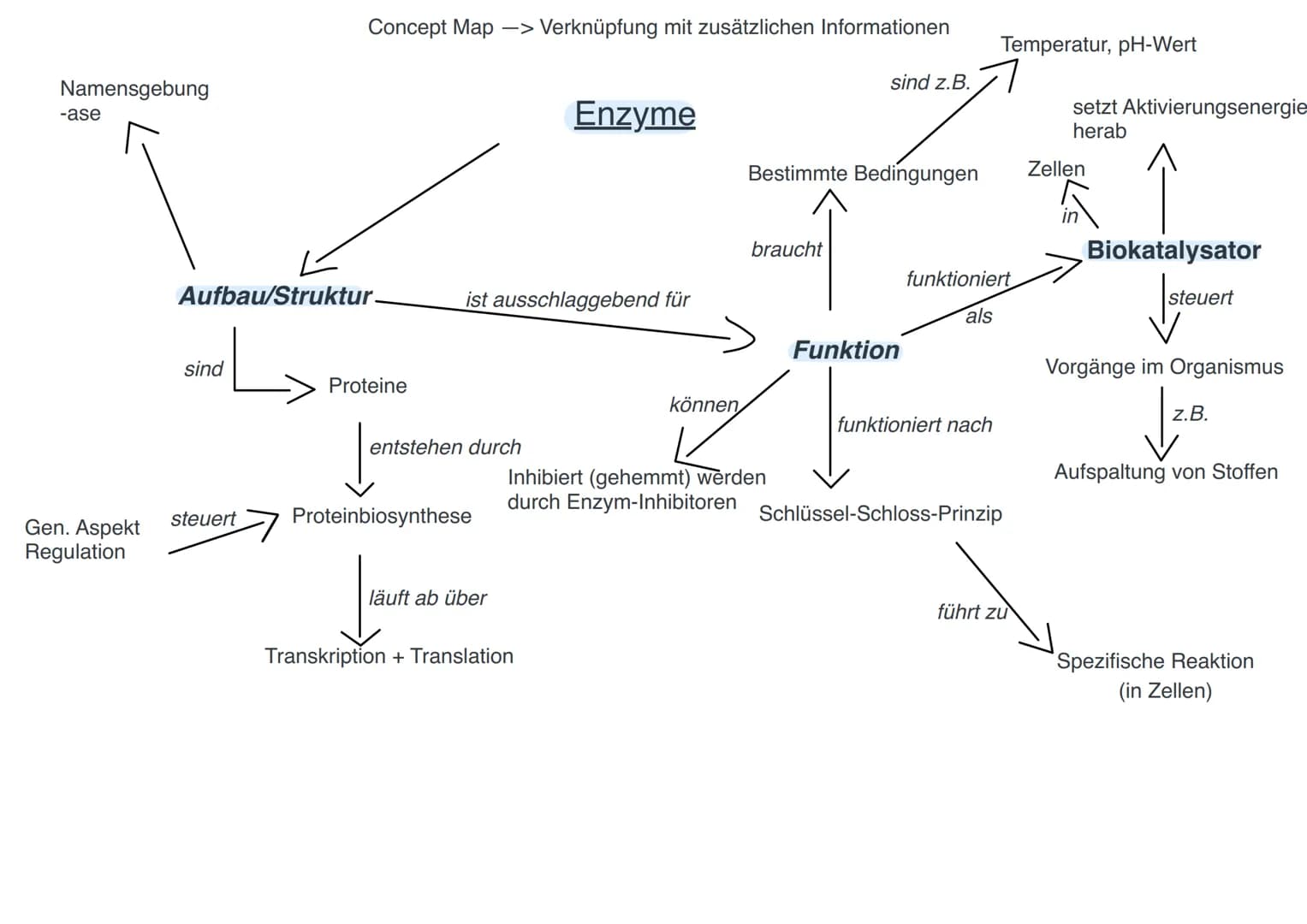 Namensgebung
-ase
Gen. Aspekt
Regulation
Aufbau/Struktur.
حاسة
sind
Concept Map -> Verknüpfung mit zusätzlichen Informationen
steuert
Protei