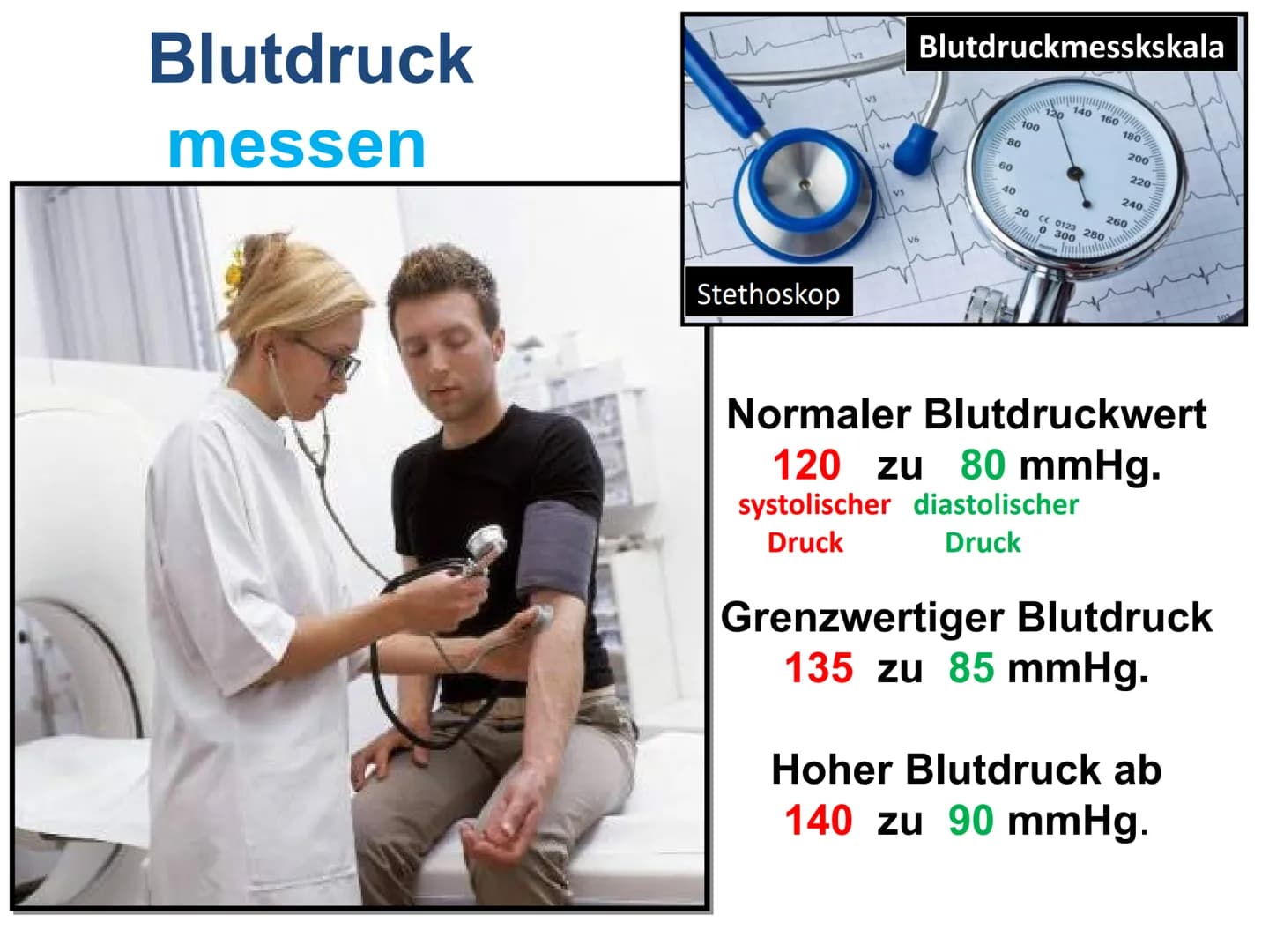 Der Herzkreislauf
und
Herz-Kreislauferkrankungen
Leitfrage:
Jährlich sterben Millionen von Menschen allein in Deutschland an
Herzkreislaufer