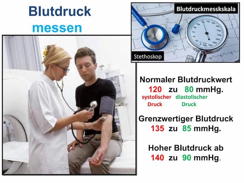 Der Herzkreislauf
und
Herz-Kreislauferkrankungen
Leitfrage:
Jährlich sterben Millionen von Menschen allein in Deutschland an
Herzkreislaufer