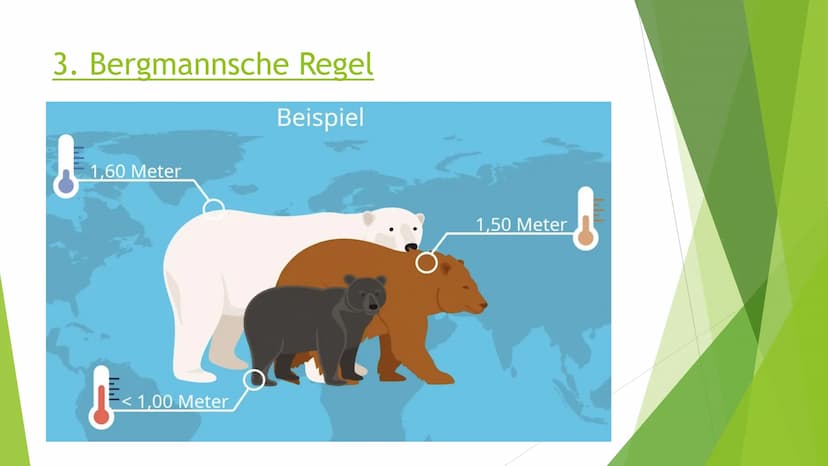 Abiotischer Faktor
Temperatur bei Tieren Abiotischer Faktor Temperatur bei Tieren → Handout
Wechselwarme Tiere:
Wechselwarm = poikilotherm
K