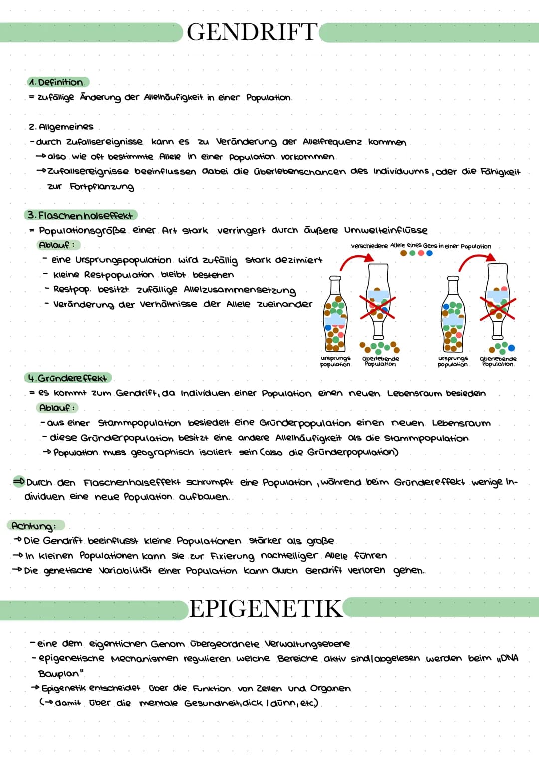 GENDRIFT
1. Definition
zufällige Änderung der Allelhäufigkeit in einer Population.
=
2. Allgemeines
-durch Zufallsereignisse kann es zu Verä