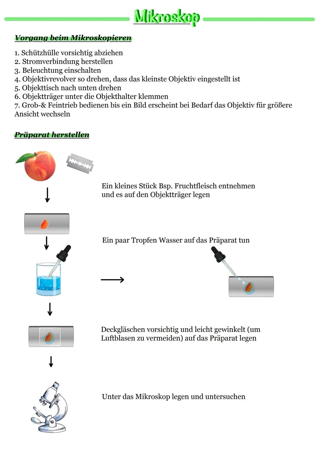 Mikroskop
Was ist ein Mikroskop ?
Ein Mikroskop ist ein optisches Gerät welches zu Vergrößerung kleiner Dinge, die
nicht mehr vom menschlich