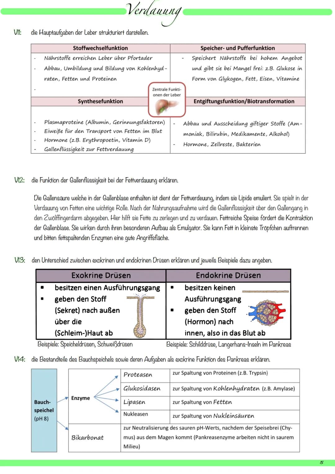 VI:
1
8
9
V2: die Organe des Verdauungssystems mit deutschem und mit Fachbegriff benennen und ihre Hauptfunktionen beschreiben.
kuppelförmig