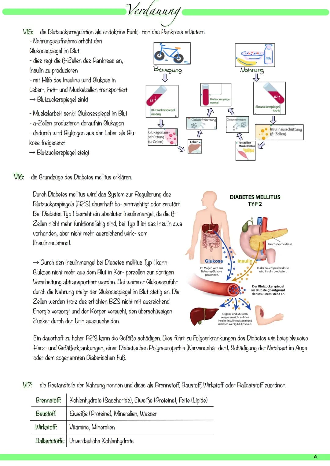 VI:
1
8
9
V2: die Organe des Verdauungssystems mit deutschem und mit Fachbegriff benennen und ihre Hauptfunktionen beschreiben.
kuppelförmig