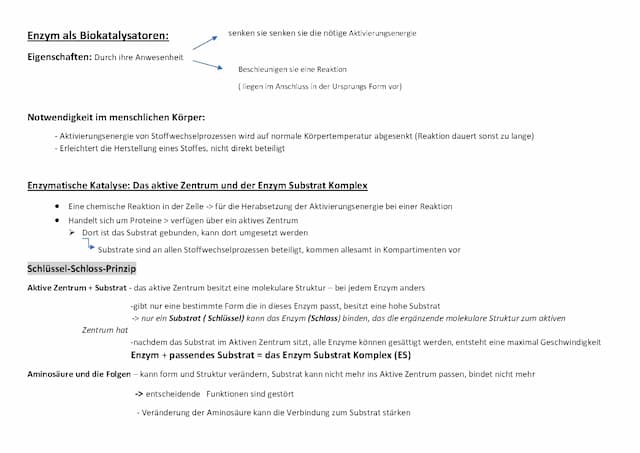 Know  Enzyme  thumbnail