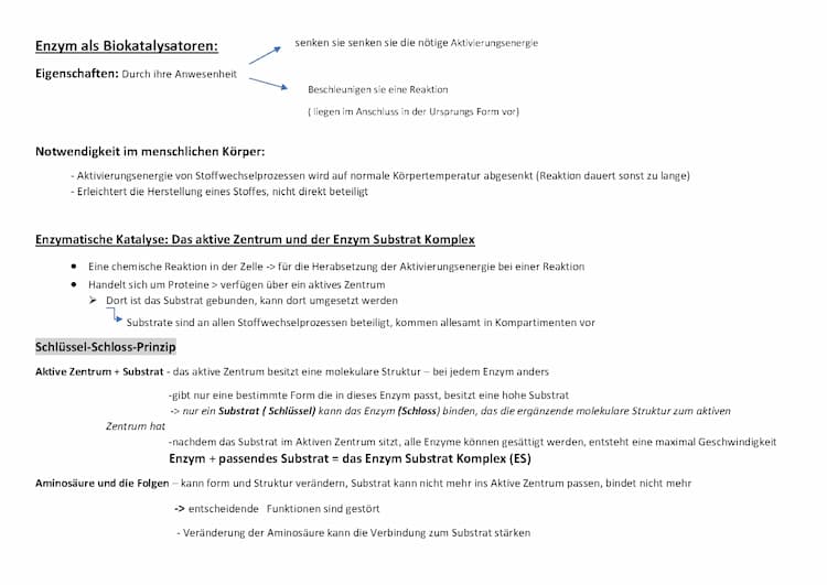 Know  Enzyme  thumbnail