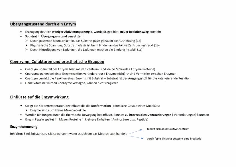 Enzym als Biokatalysatoren:
Eigenschaften: Durch ihre Anwesenheit
senken sie senken sie die nötige Aktivierungsenergie
Beschleunigen sie ein