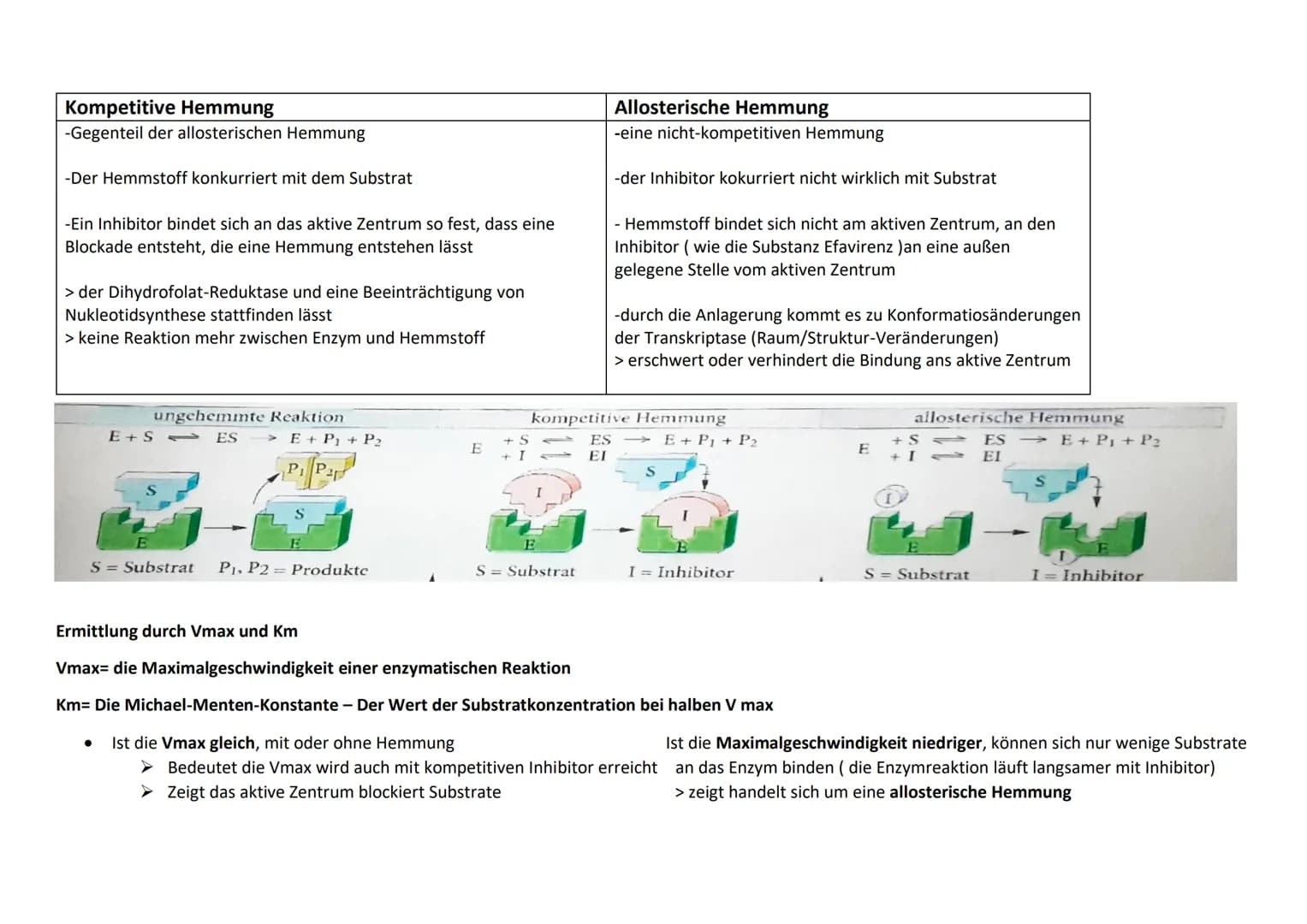 Enzym als Biokatalysatoren:
Eigenschaften: Durch ihre Anwesenheit
senken sie senken sie die nötige Aktivierungsenergie
Beschleunigen sie ein
