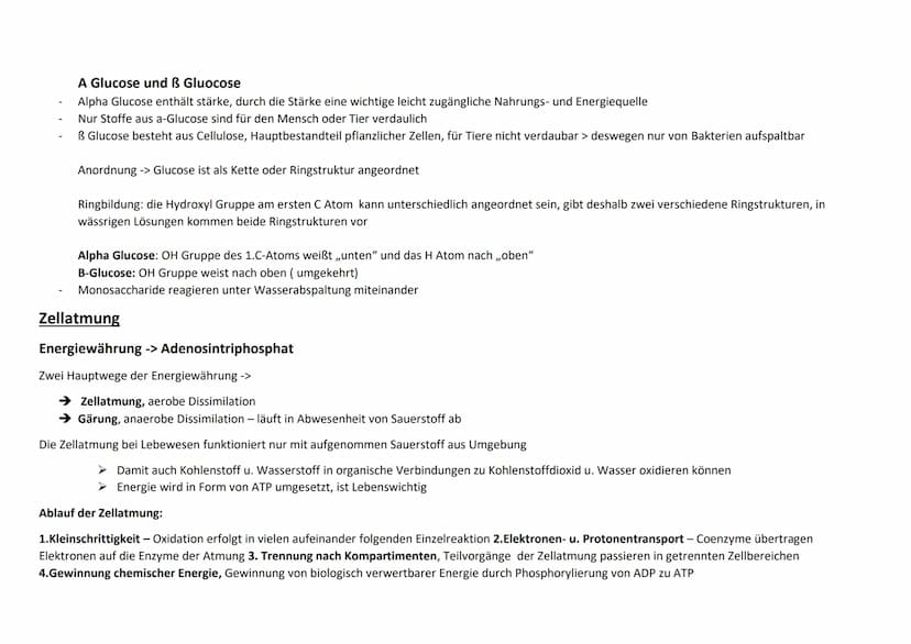 Enzym als Biokatalysatoren:
Eigenschaften: Durch ihre Anwesenheit
senken sie senken sie die nötige Aktivierungsenergie
Beschleunigen sie ein