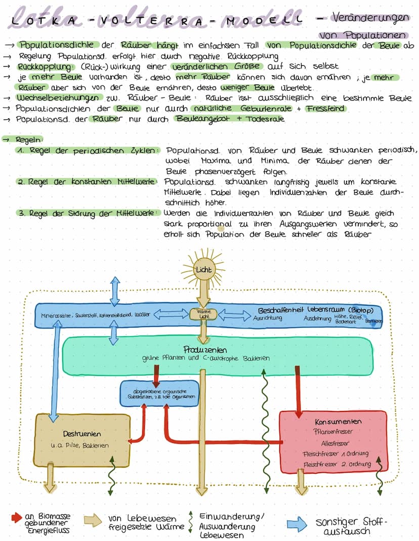 ökologie
Kreislauf des Lebens.
Produzent:
>erst durch. Foto-
Synthese entstand Konsumenten
sauerstoffhaltige
Atmosphäre
› Sauerstoffatom:
bi