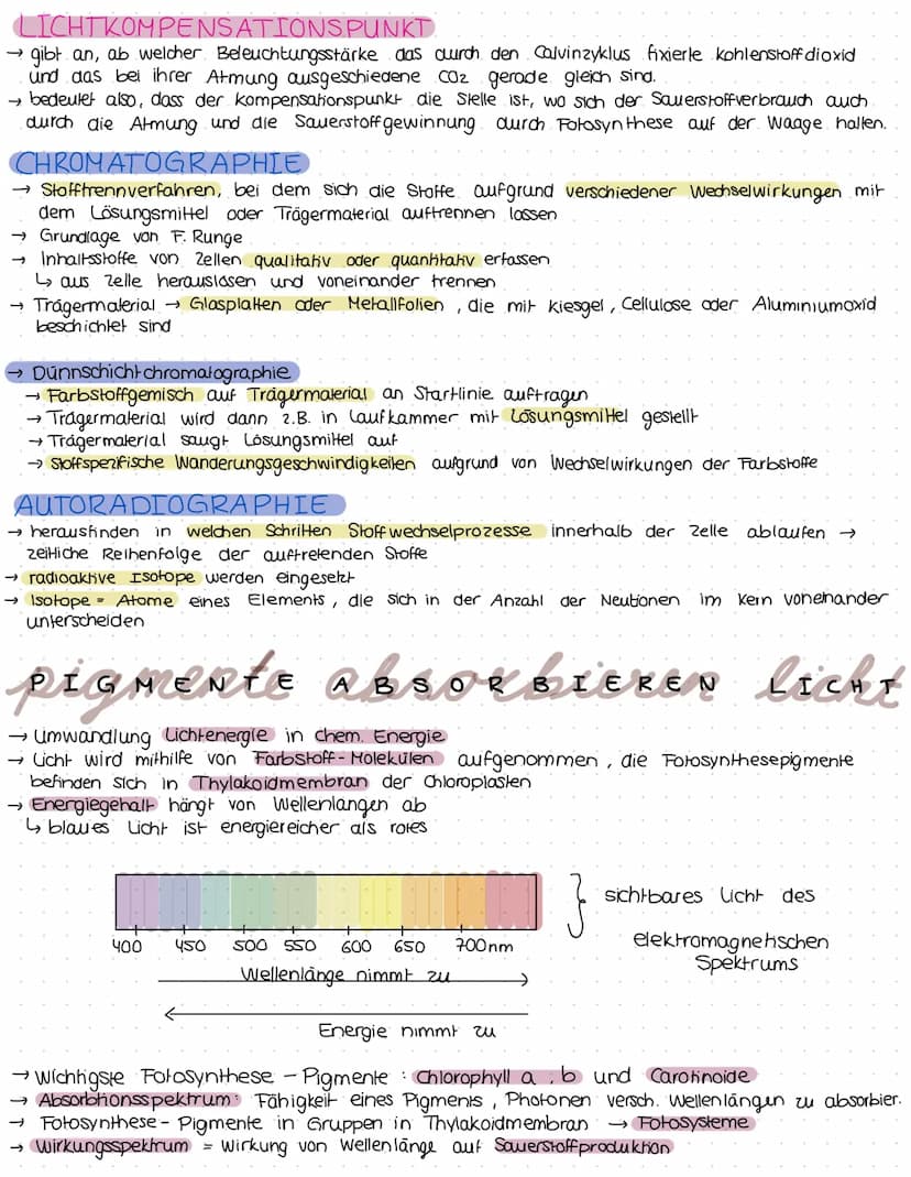 ökologie
Kreislauf des Lebens.
Produzent:
>erst durch. Foto-
Synthese entstand Konsumenten
sauerstoffhaltige
Atmosphäre
› Sauerstoffatom:
bi