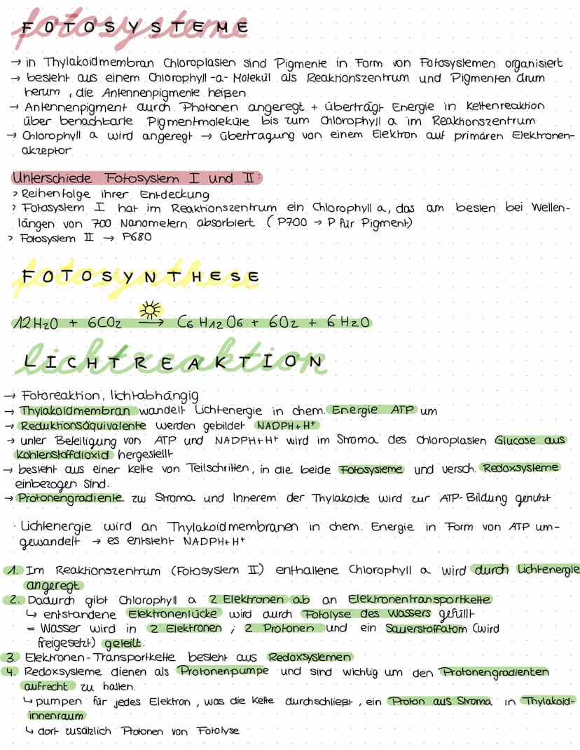 ökologie
Kreislauf des Lebens.
Produzent:
>erst durch. Foto-
Synthese entstand Konsumenten
sauerstoffhaltige
Atmosphäre
› Sauerstoffatom:
bi