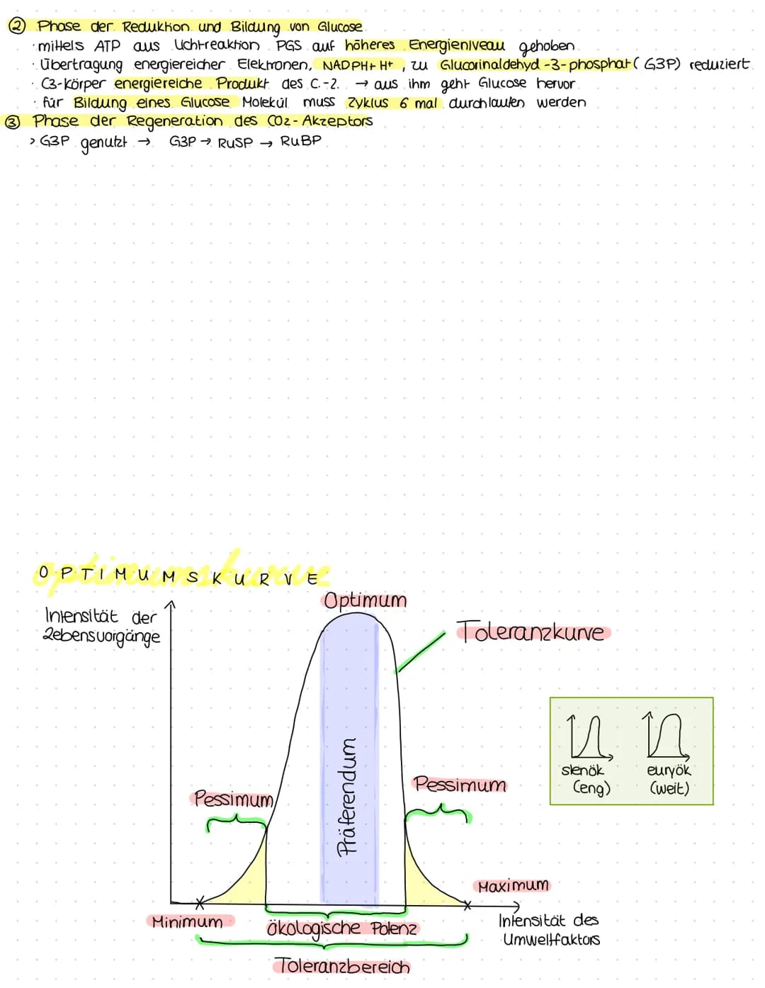 ökologie
Kreislauf des Lebens.
Produzent:
>erst durch. Foto-
Synthese entstand Konsumenten
sauerstoffhaltige
Atmosphäre
› Sauerstoffatom:
bi