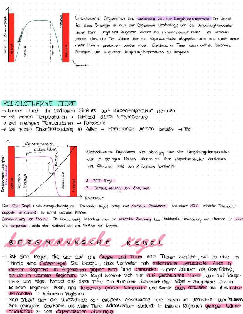 ökologie
Kreislauf des Lebens.
Produzent:
>erst durch. Foto-
Synthese entstand Konsumenten
sauerstoffhaltige
Atmosphäre
› Sauerstoffatom:
bi