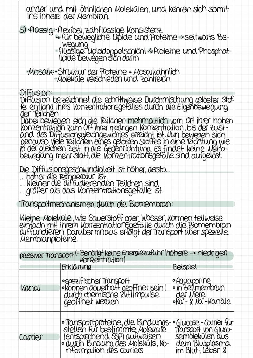 17
J
Biomembranen
2
1 Lipiddoppelschicht
2 peripheres Protein
3 teilweise eingetauchtes integrales
Protein
4: Transmembranmokekül
5: Tunnelp