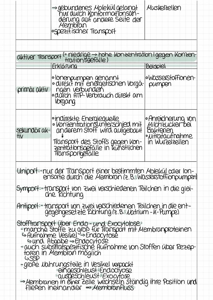 17
J
Biomembranen
2
1 Lipiddoppelschicht
2 peripheres Protein
3 teilweise eingetauchtes integrales
Protein
4: Transmembranmokekül
5: Tunnelp
