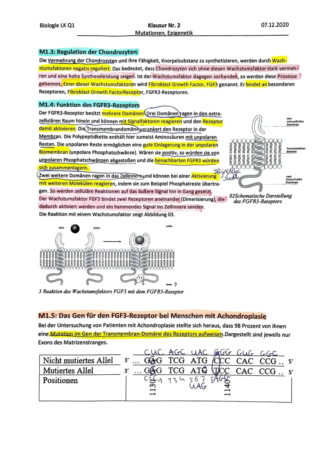 07.12.20
Biologieklausur
Phänotypisch lässt sich die Achondroplasie
durch Kleinwüchsigkeit bemerkbar machen.
Diese Menschen werden 120-135 c